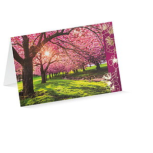 UNICEF Grusskarte Faszination Natur UNICEF Grusskarte Faszination Natur